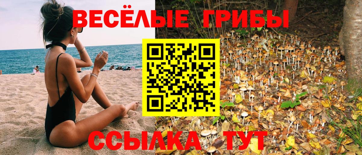 Псилоцибиновые грибы прущие грибы Черкесск